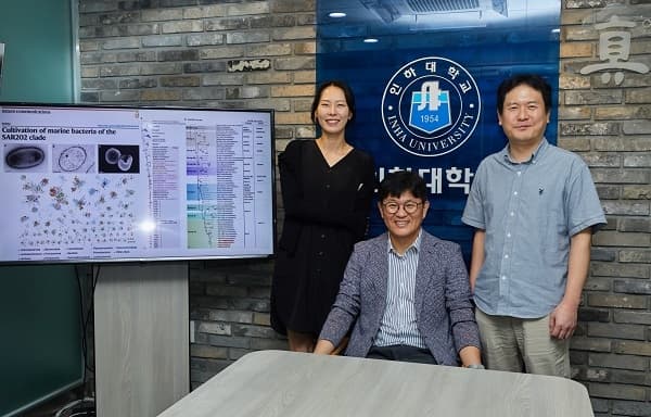 버뮤다의 미스터리 세균, 실험실 배양 성공